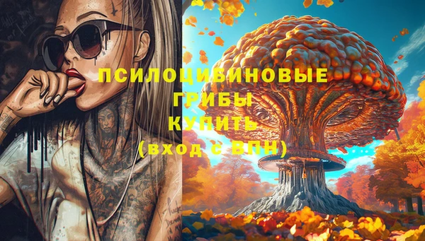 прущие крисы Балахна