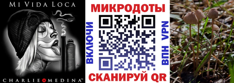 сколько стоит Оса Галлюциногенные грибы MAGIC MUSHROOMS